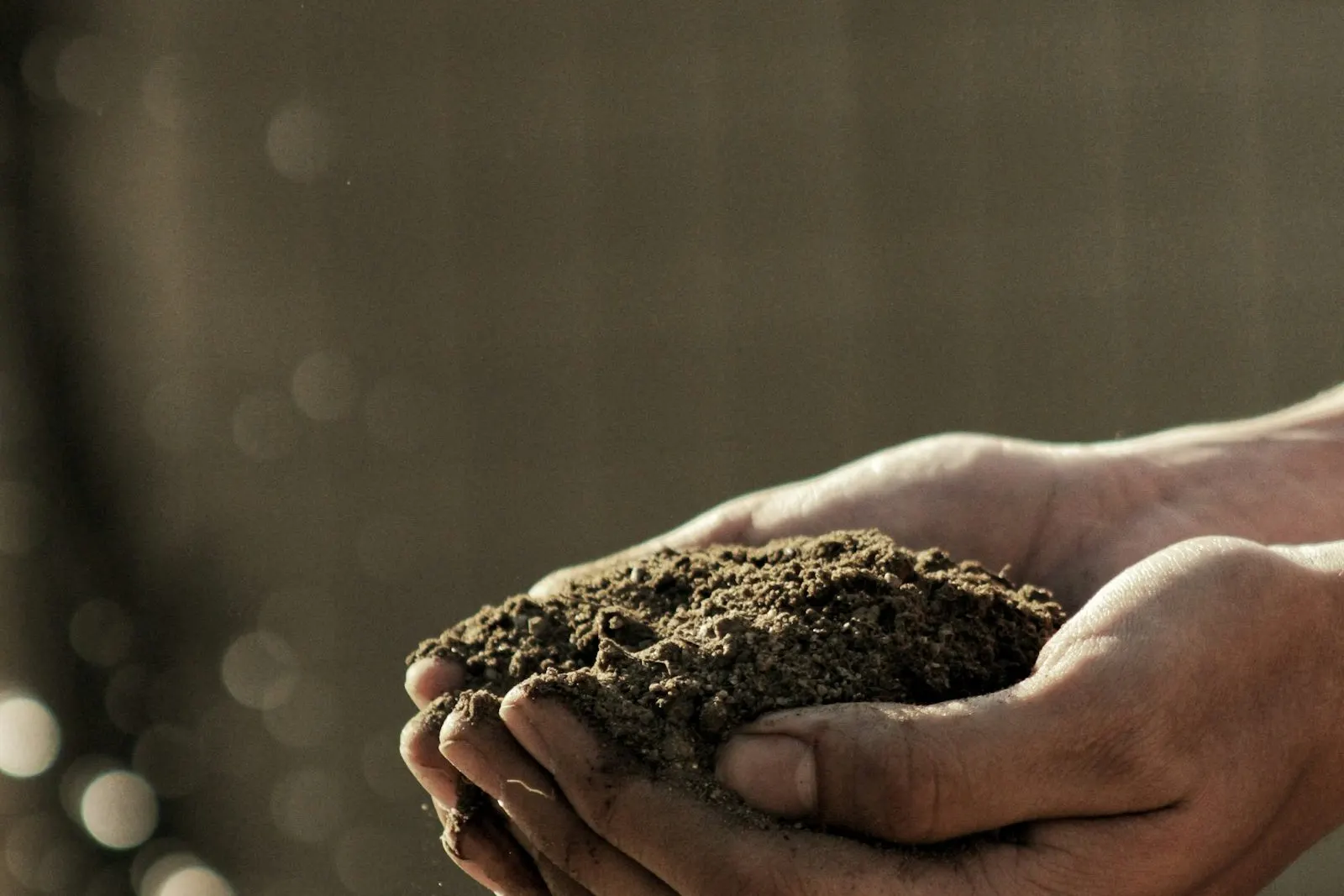 Muestra de suelo en la mano de un agrónomo